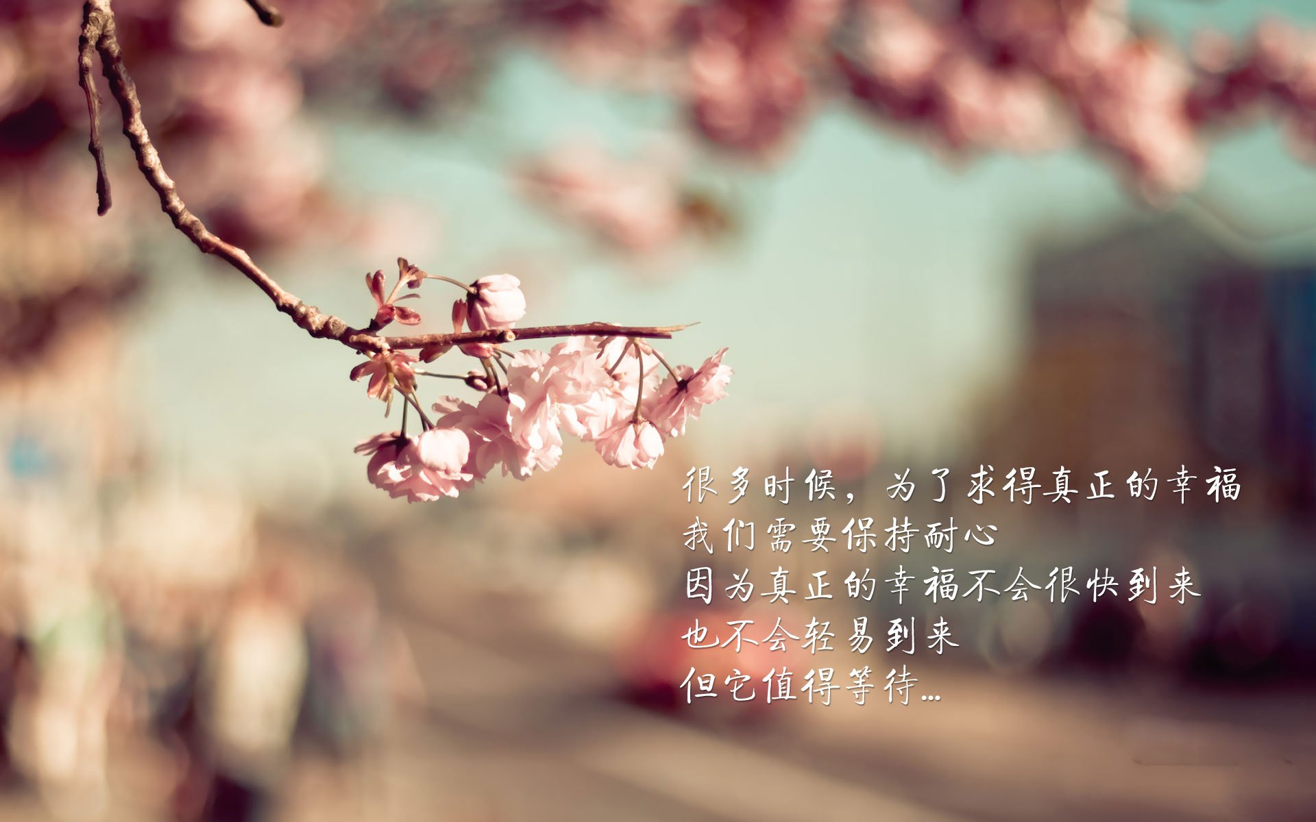 《电竞黄金年龄：青训体系加速培养新星》，电竞黄金年龄到底是多少