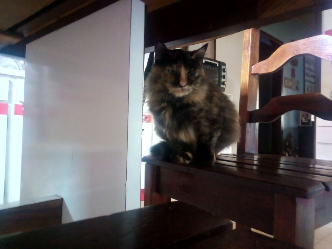 主题夜:联盟推出不同主题的纪念赛吸引粉丝