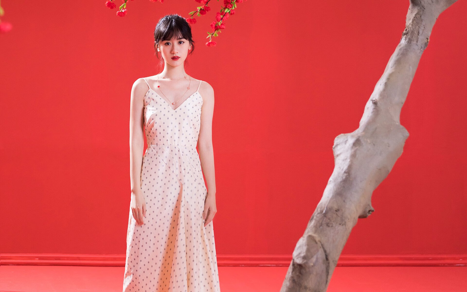 卡塔尔世界杯场馆转型，改建成多功能社区中心，卡塔尔 世界杯 球场