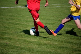 开云体育官方下载-体育文化节活动预告，体育文化节活动流程